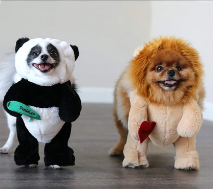 Dog Panda Halloween Costume