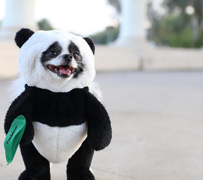 Dog Panda Halloween Costume