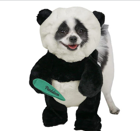 Dog Panda Halloween Costume