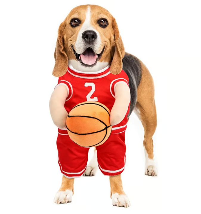 Dog Basketball Halloween Costume