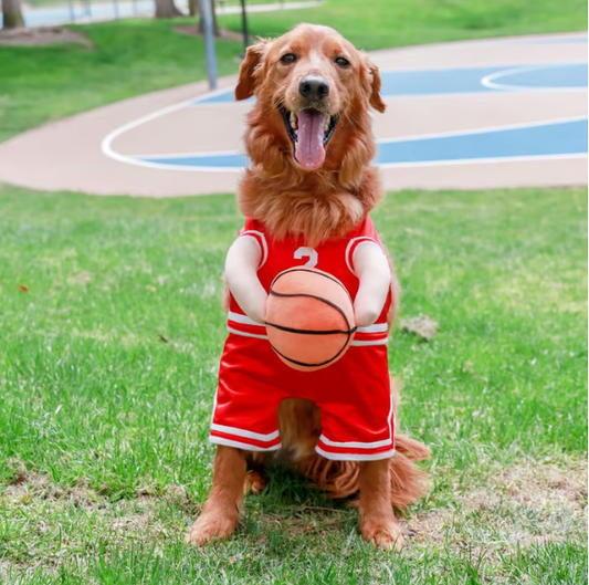 Dog Basketball Halloween Costume