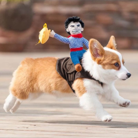Dog Cowboy Halloween Costume