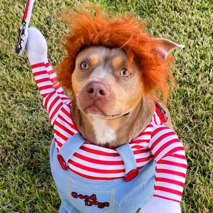 Pet Deadly Doll Halloween Costume