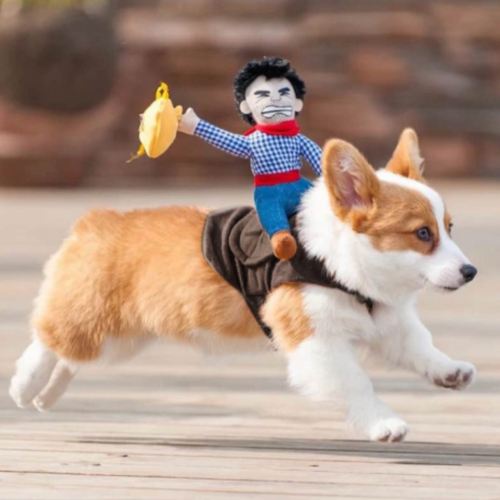 Halloween Costumes