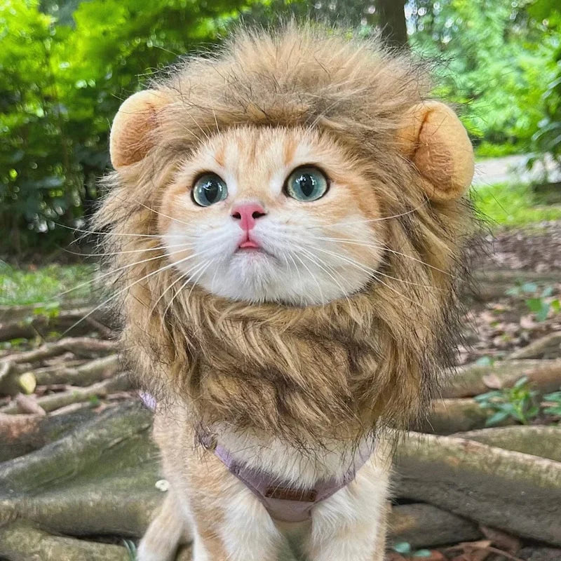 Cat Lions Mane Halloween Costume