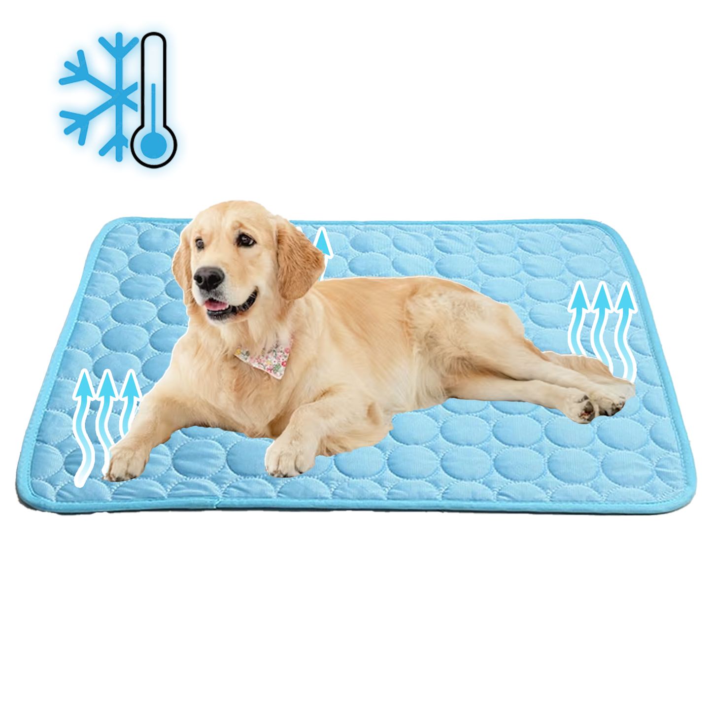 Pet Cooling Mat