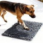 Messy Paws Mat with PawSorb Technology