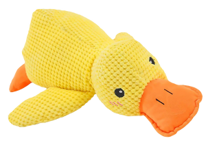 Calming Duck
