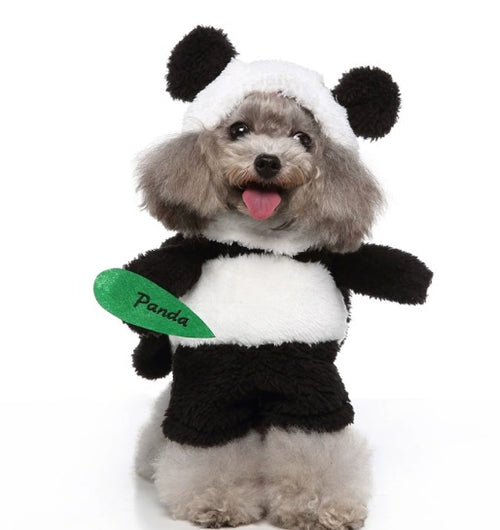Dog Panda Halloween Costume