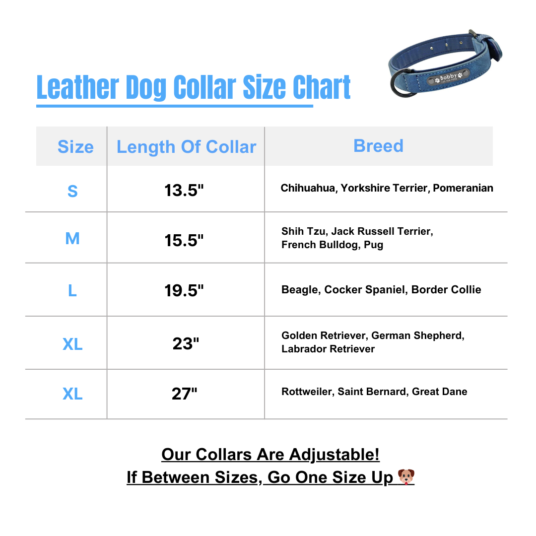 Personalized Leather Dog Collar