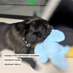 Dog playing with a toy held by a gloved hand, with text describing the toy's features.