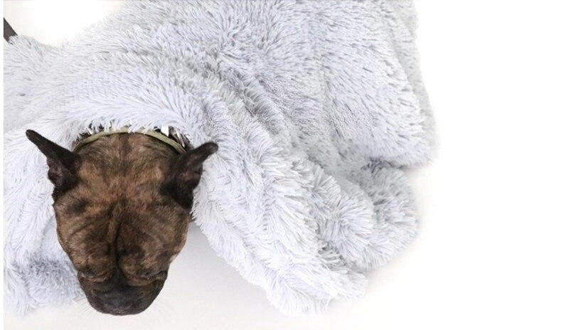 Dog peeking out from under a fluffy white blanket on a white background
