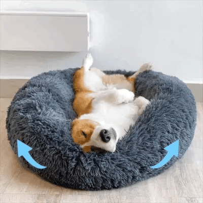 Cooling Dog Bed 3 bed3