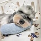Calming Pillow