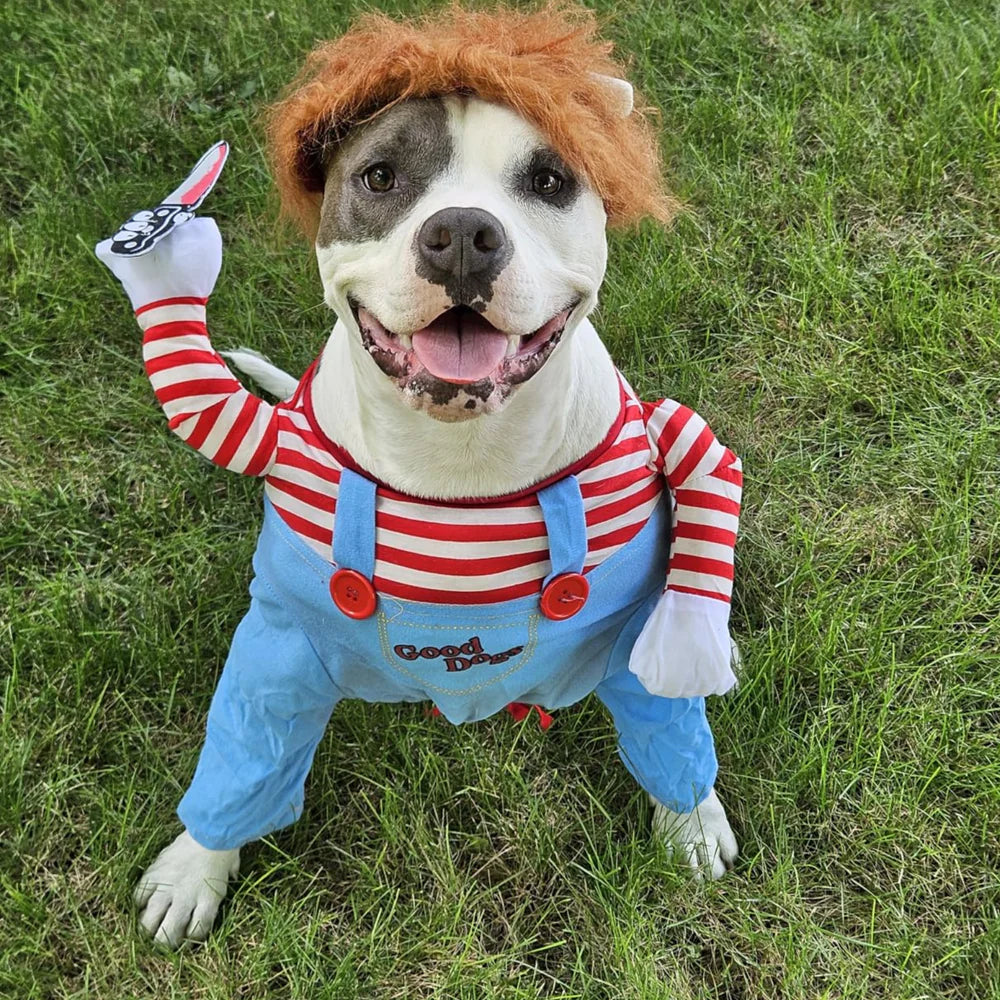 Pet Deadly Doll Halloween Costume