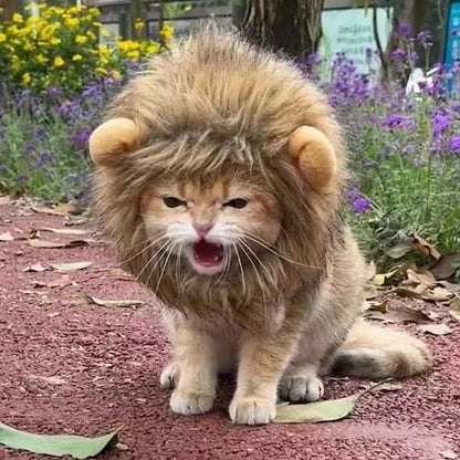 Cat Lions Mane Halloween Costume