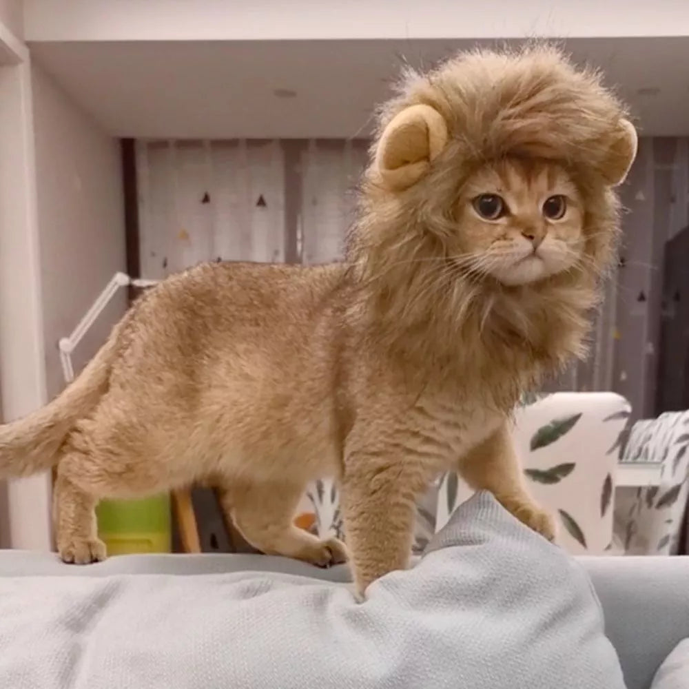 Cat Lions Mane Halloween Costume
