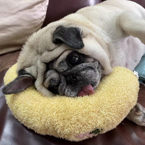 Calming Pillow