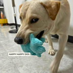 Dog playing with a blue toy indoors, with 'Happy Happy Dog' branding.