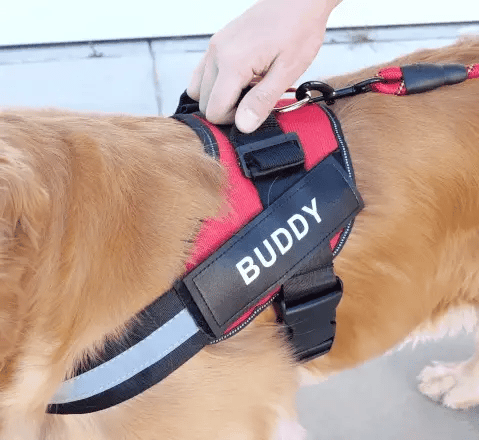 Custom No Pull Dog Harness with Name and Phone Number - Personalized Heavy  Duty Customized Pet Vest | The Calm Pet