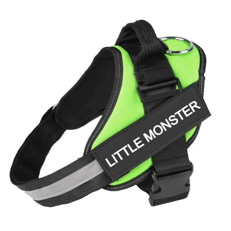 Dog Wearing Custom No Pull Dog Harness in green