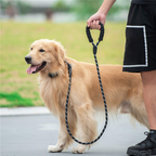 a man waking with his dog with reflective dog leashes 