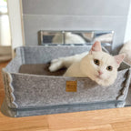 2-in-1 Cat Scratcher and Bed