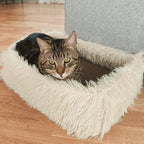 2-in-1 Cat Scratcher and Bed