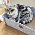 2-in-1 Cat Scratcher and Bed