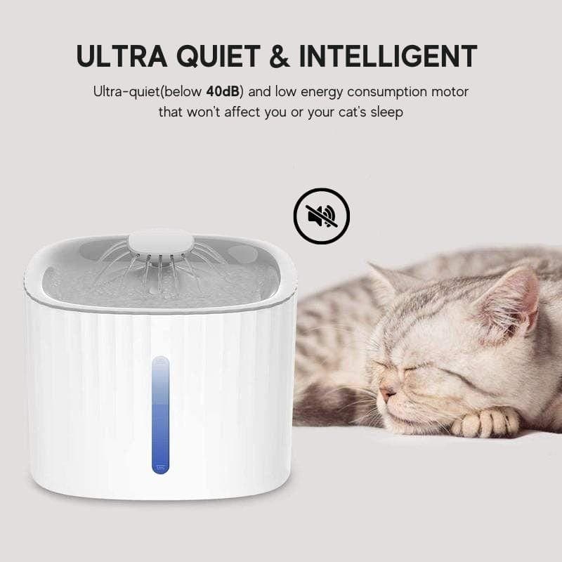 A grey cat is drinking water from  automatic LED filtered
