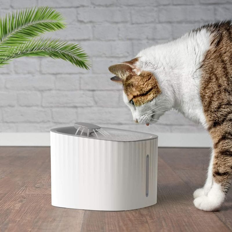 A cat is drinking water from an automatic LED filtered