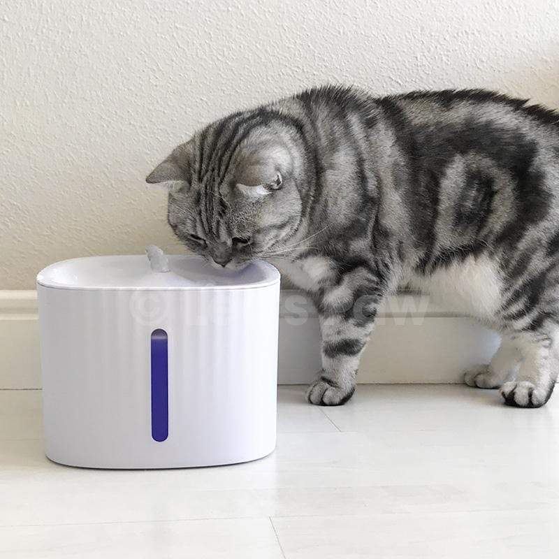 A grey cat is drinking water from an automatic LED filtered