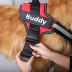 Dog Wearing Custom No Pull Dog Harness in Red