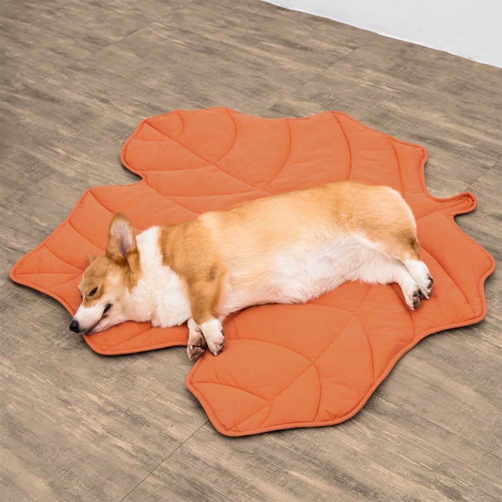 A dog lying on a orange leaf-shaped dog blanket mat.