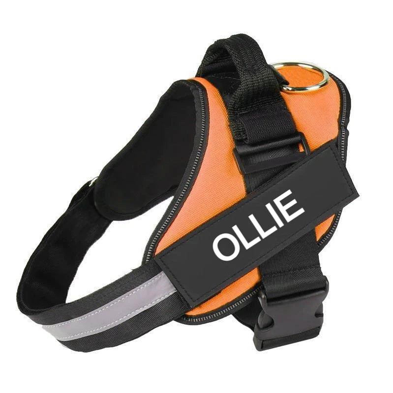Dog Wearing Custom No Pull Dog Harness in Orange