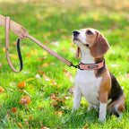 Personalized Leather Dog Collar