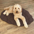 A dog lying on a black  leaf-shaped dog blanket mat on a wooden floor.