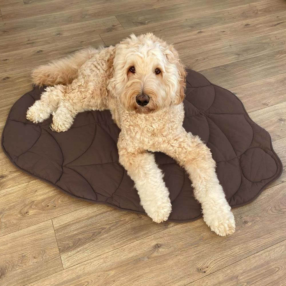 A dog lying on a black  leaf-shaped dog blanket mat on a wooden floor.