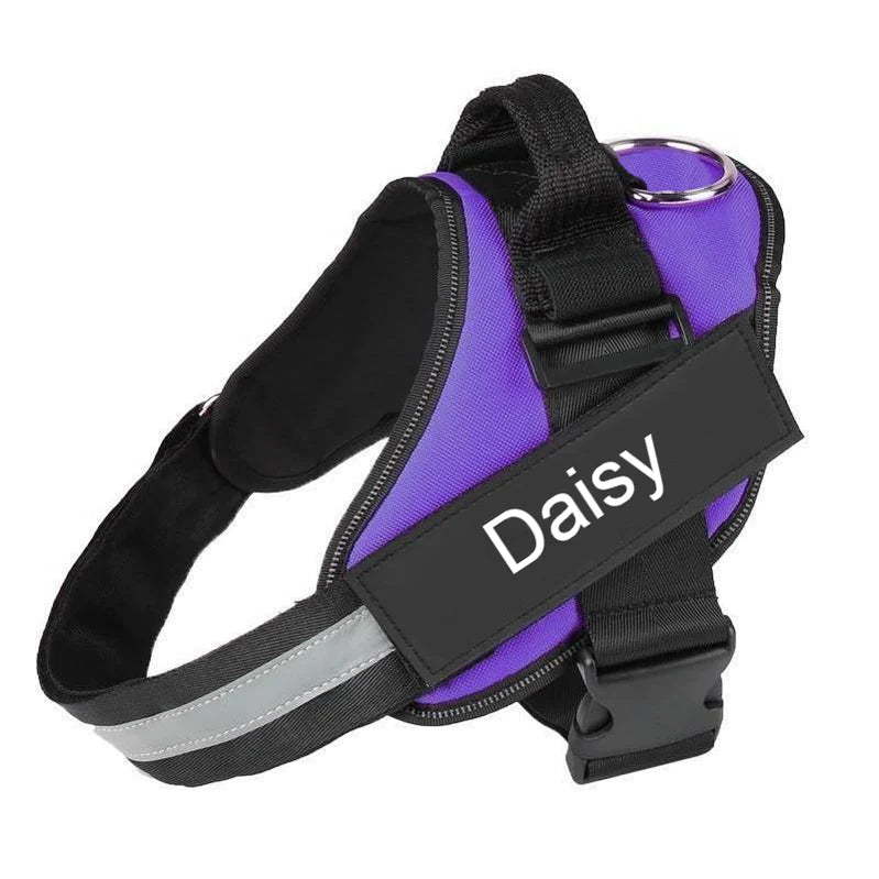 Dog Wearing Custom No Pull Dog Harness in purple