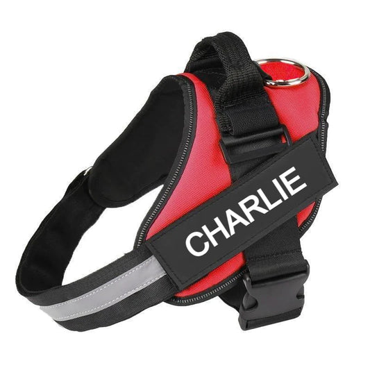Custom No Pull Dog Harness in Red