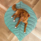 A dog lying on a green leaf-shaped dog blanket mat on a wooden floor.