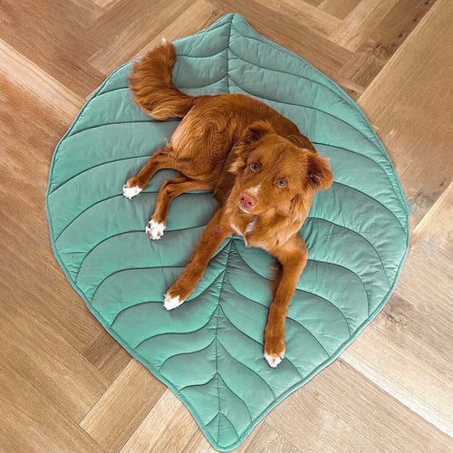 Leaf Shape Dog Blanket Mat