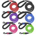 A collection of colorful reflective dog leashes with padded handles and metal clasps.