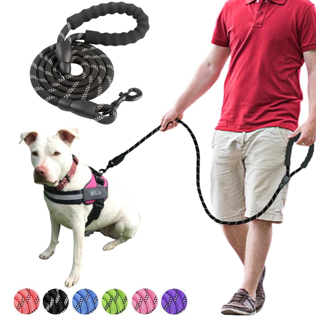 a man with his dog wearing reflective dog leashes 